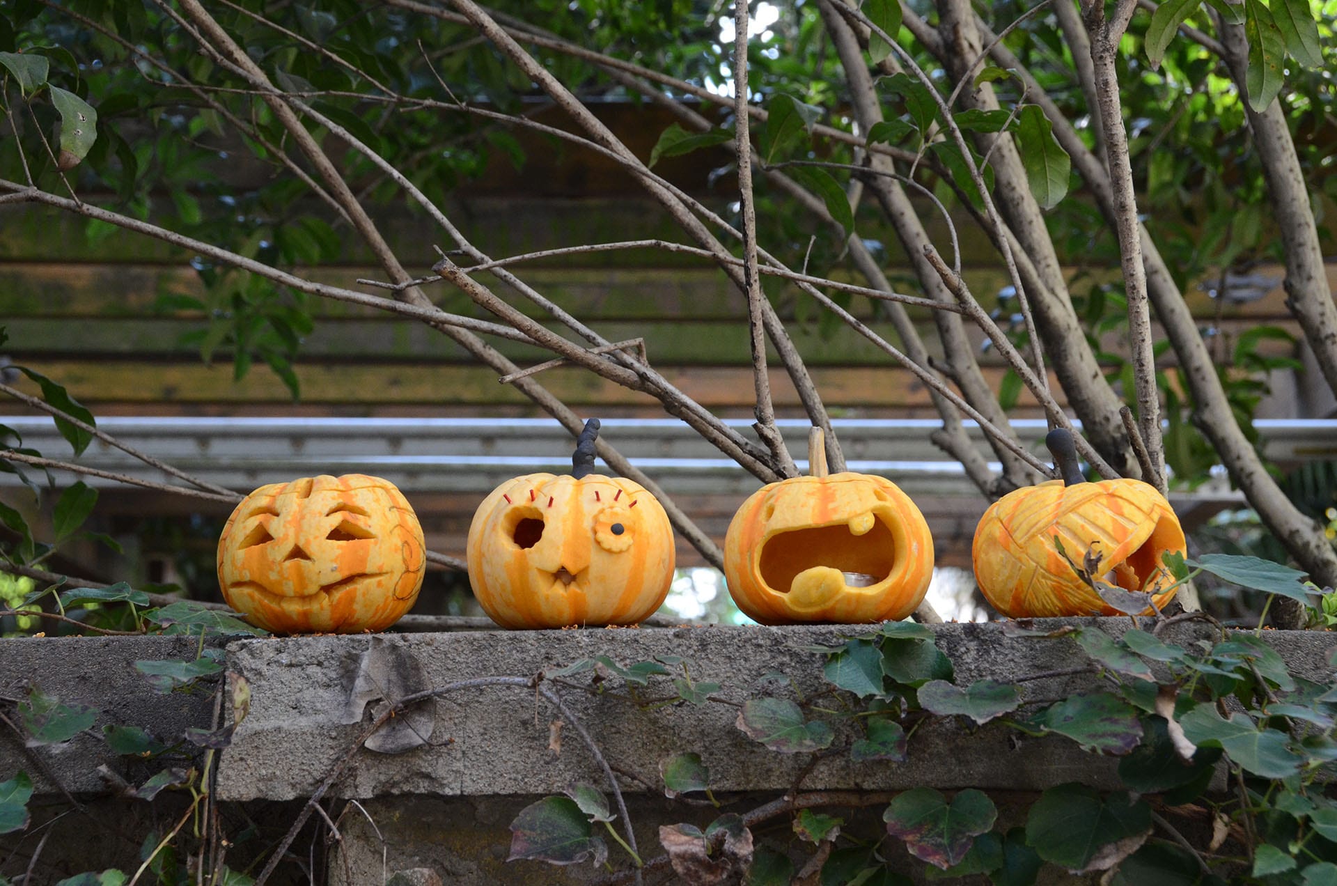 Pumpkin